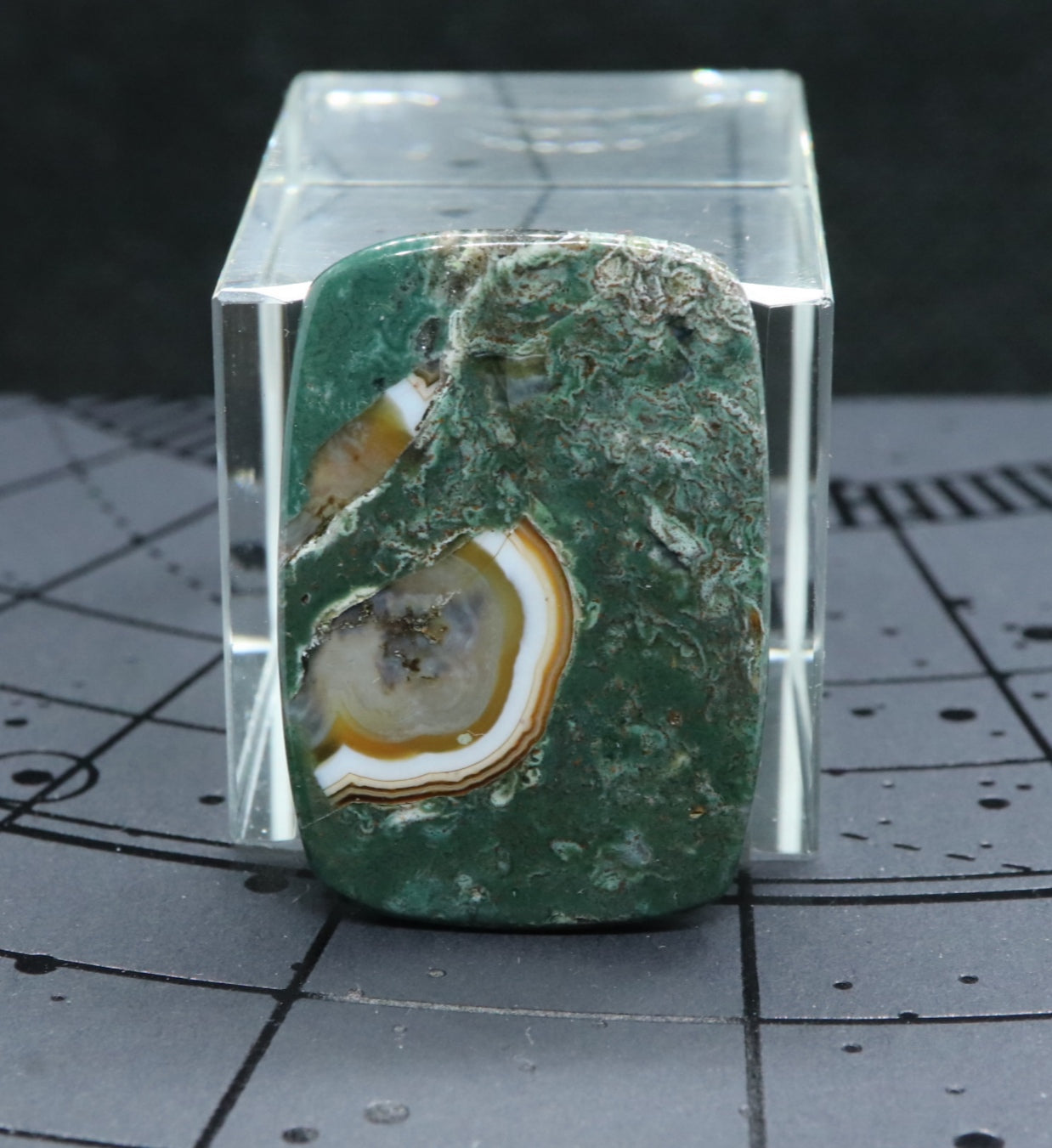 ターキッシュアゲート33.6㎜